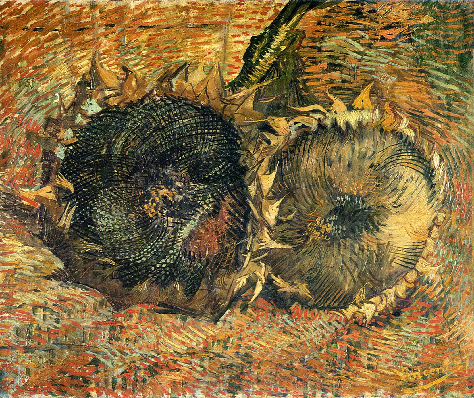 Vincent Van Gogh - Still Life With Two Sunflowers 1887